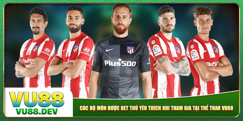 Các bộ môn được bet thủ yêu thích khi tham gia tại thể thao Vu88
