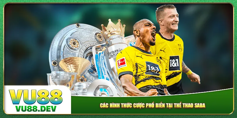 Các hình thức cược phổ biến tại thể thao Saba