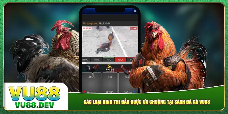Các loại hình thi đấu được ưa chuộng tại sảnh đá gà Vu88