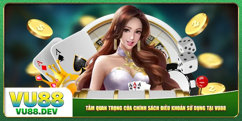Tầm quan trọng của chính sách điều khoản sử dụng tại Vu88