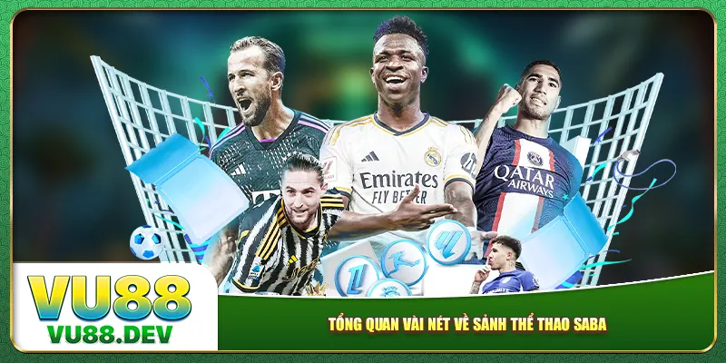 Tổng quan vài nét về sảnh thể thao Saba