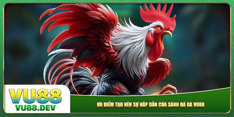 Ưu điểm tạo nên sự hấp dẫn của sảnh đá gà Vu88