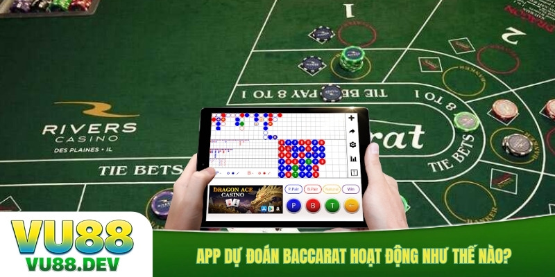 App dự đoán baccarat hoạt động như thế nào?
