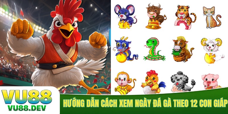Hướng dẫn cách xem ngày đá gà theo 12 con giáp