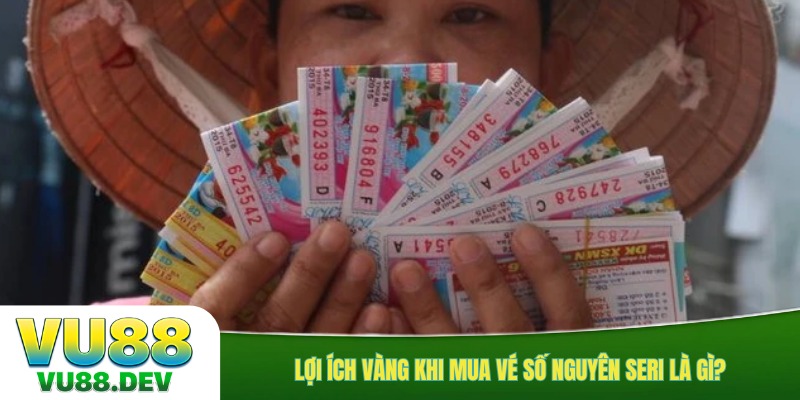 Lợi ích vàng khi mua vé số nguyên seri là gì?