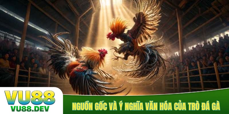 Nguồn gốc và ý nghĩa văn hóa của trò đá gà