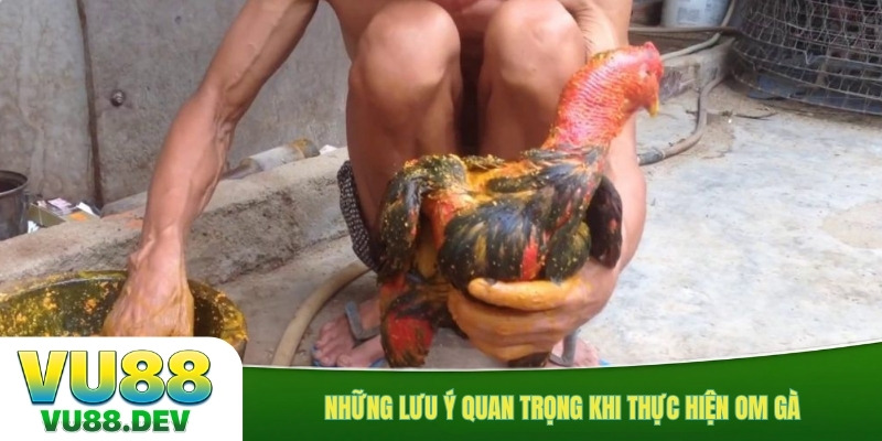 Những lưu ý quan trọng khi thực hiện om gà