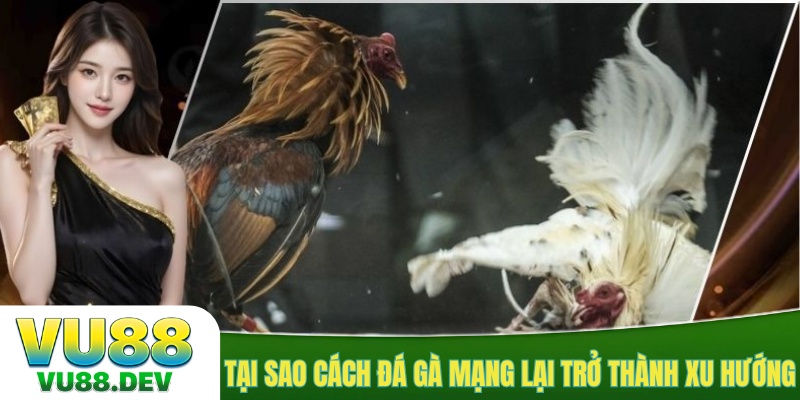 Tại sao cách đá gà mạng lại trở thành xu hướng?
