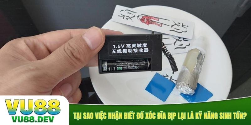 Tại sao việc nhận biết đồ xóc đĩa bịp lại là kỹ năng sinh tồn?