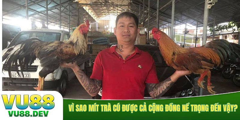 Vì sao Mít Trà Cú được cả cộng đồng nể trọng đến vậy?