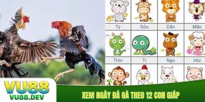 Xem ngày đá gà theo 12 con giáp